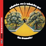 The Dramatics - Whatcha See Is Whatcha Get