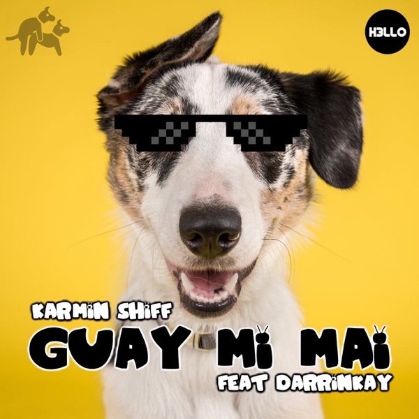 Guay Mi Mai (feat. Darrinkay) - Single