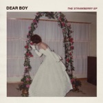 Dear Boy - Anything at All