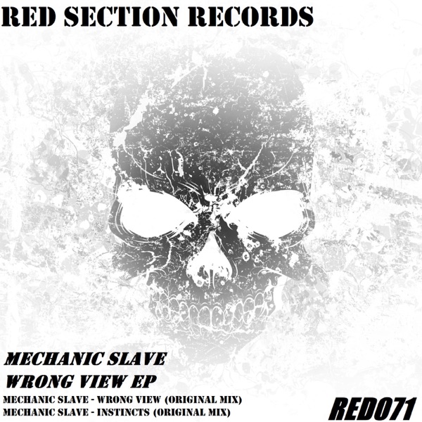 Wrong Wiev - Single