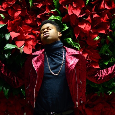 She's Got It All - Single