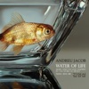 Water of Life (Edition Deluxe) - Single