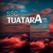 SSC Tuatara artwork