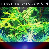 Lost In Wisconsin - The Wonder
