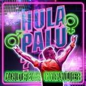 Hulapalu (Harris & Ford Extended Mix) artwork