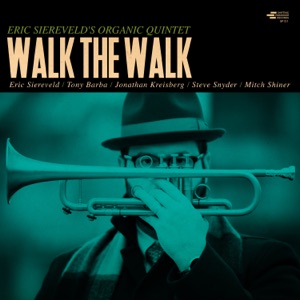 Walk the Walk (feat. Jonathan Kreisberg)