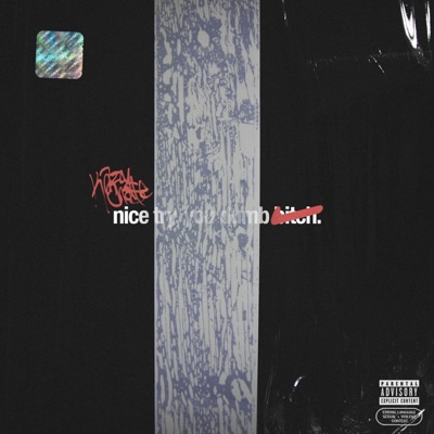 Nice Try, You Dumb Bitch - EP