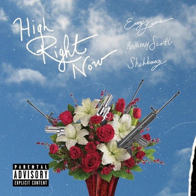 High Right Now (feat. Envy Leone, Anthony Scott & Shehbaaz) - Single