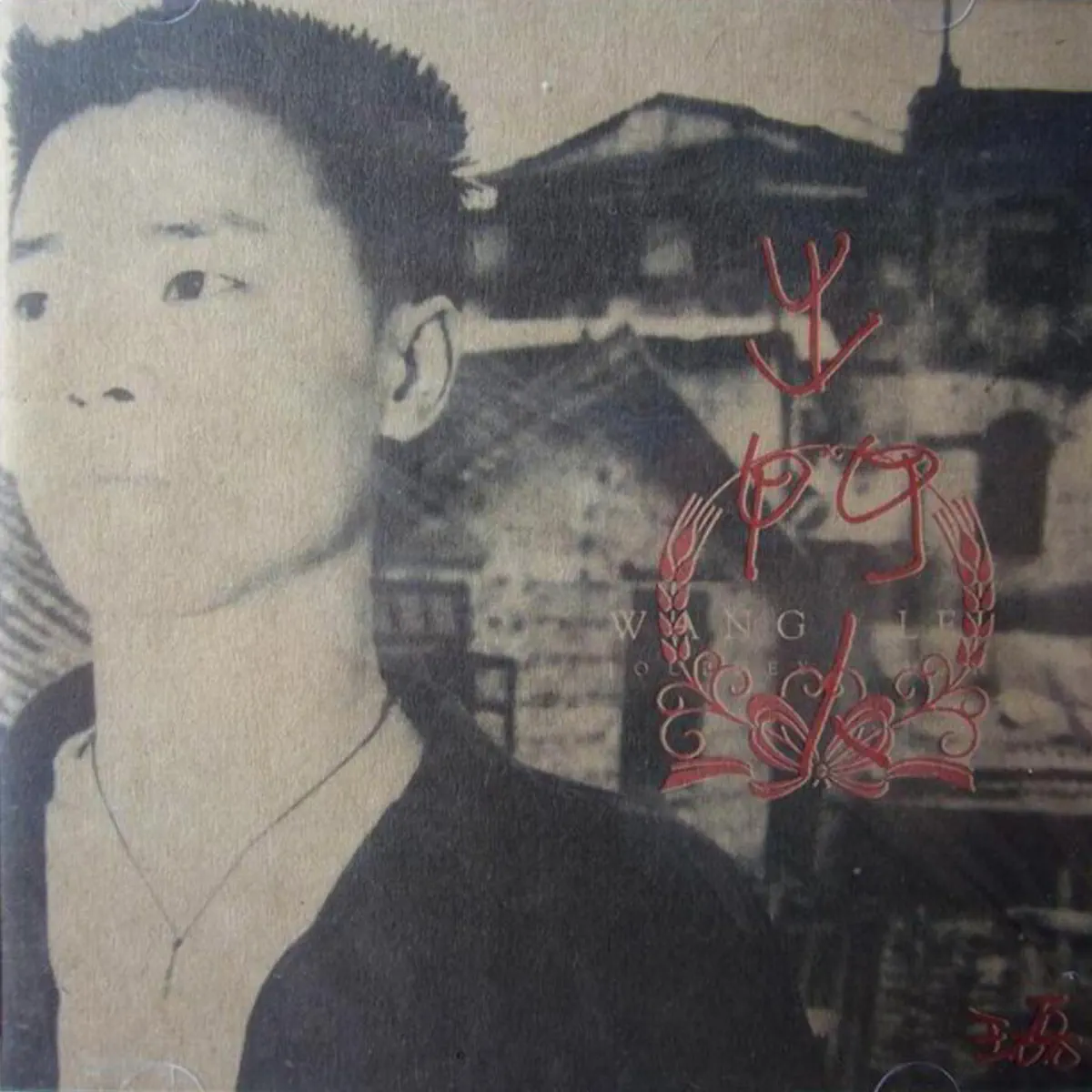 王磊 - 出门人 (1993) [iTunes Plus AAC M4A]-新房子