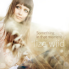 Something in That Moment - Lize Wiid
