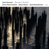 John Surman - Chelsea Bridge