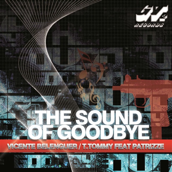 Sound of Goodbye (feat. Patrizze) - Single