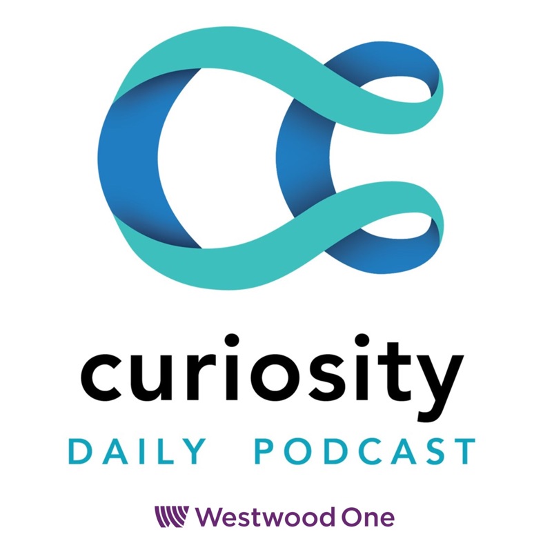 Curiosity Daily