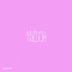 Trillium - Single