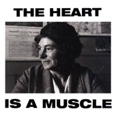 The Heart Is a Muscle (Radio Edit) artwork