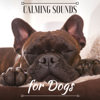 Relaxing Instrumental - Pet’s Comfort Music