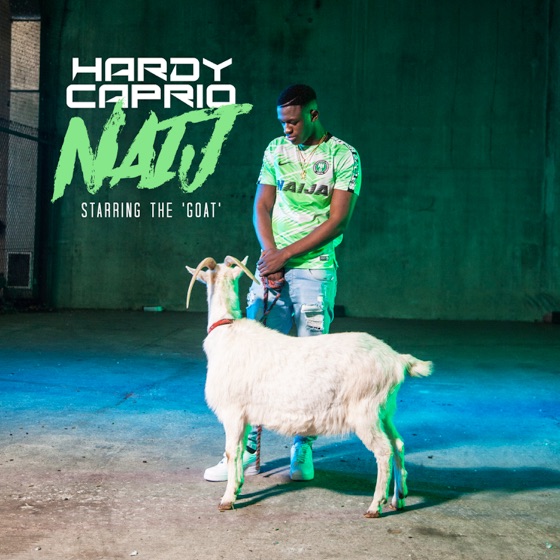 Cover artwork for Naij