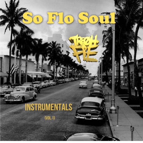 So Flo Soul Instrumentals (Vol.1)