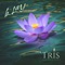 Tris - b.LaY lyrics