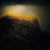 Remote Vision - Eva