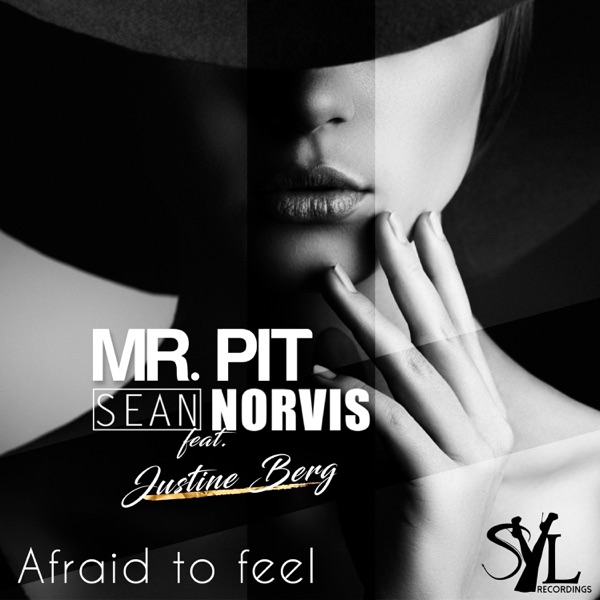 Afraid To Feel (feat. Justine Berg) - EP