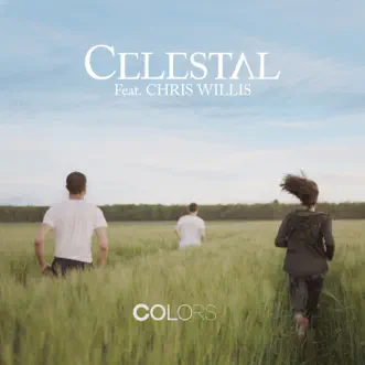 Colors (Short Mix) [feat. Chris Willis] - Single by Celestal album reviews, ratings, credits