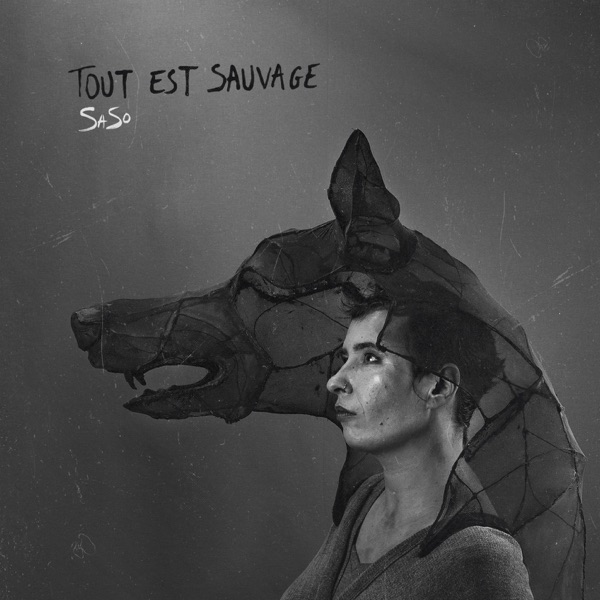 Tout Est Sauvage