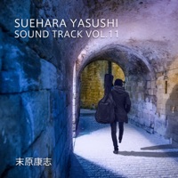 Suehara Yasushi Sound Track Vol.11