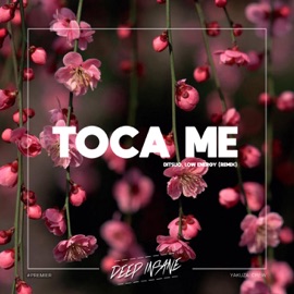 Toca Me (Radio Mix) Ditsuo & Low Energy