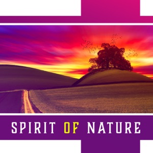 Spirit of Nature: Sounds for Tired Senses, Return to Harmony, Smart Relax, Earth Soul, Healing Music, Peaceful Oasis