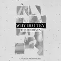 why do i try (dophamean remix)