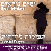 High Jewish Holidays Special Prayers (Acoustic) artwork
