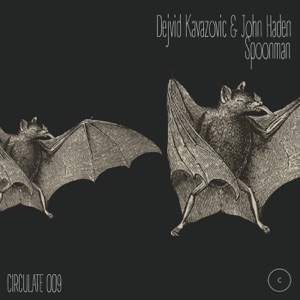 Spoonman - Single