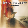 I Believe I've Lost My Way - Tony Joe White