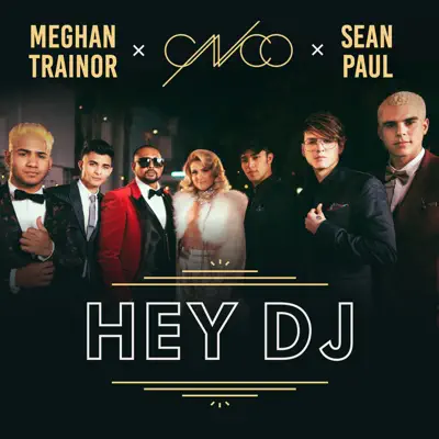 Hey DJ (Remix) - Single - Sean Paul