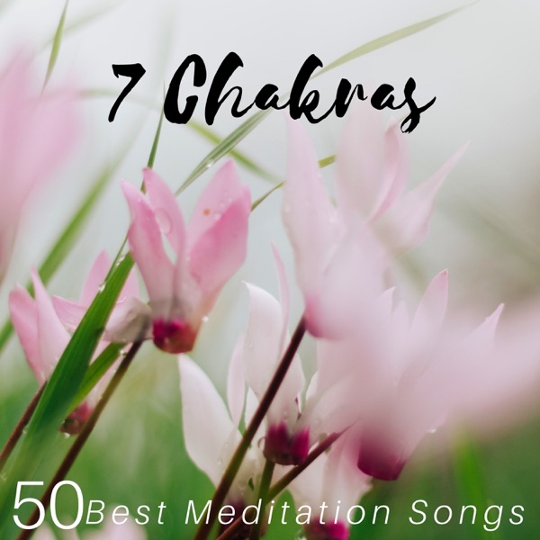7 Chakras: 50 Best Meditation Songs Collection, Blissful Nature, New Age and Tibetan Singing Bowls