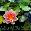 Colors of the Worlds, Pt. 1 - Yakuro