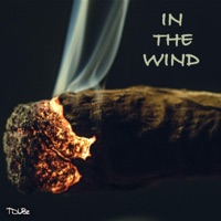 In the Wind - Single - T Dubz