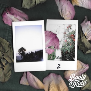 The Vine - Single