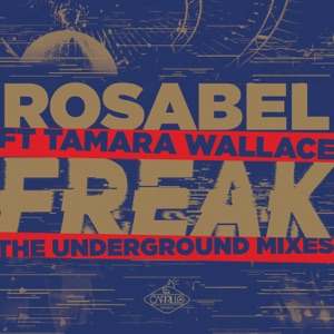 Freak: The Underground Mixes (Remixes) [feat. Tamara Wallace]