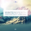 Winterbreath, Vol. 4 - Chilled Lounge Tunes For the Winter Season