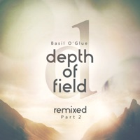 Depth of Field (Remixes, Pt. 2) - Basil O'Glue