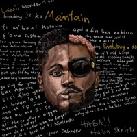 Maintain (feat. Prettyboydo) - Single - Lamii