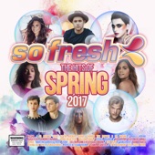 So Fresh: The Hits of Spring 2017 artwork