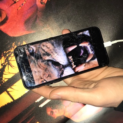 TODOS CON EL CELU - Single