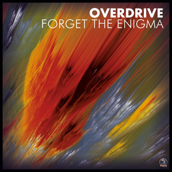 Forget the Enigma - Single