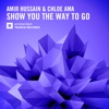 Show You the Way to Go - Single