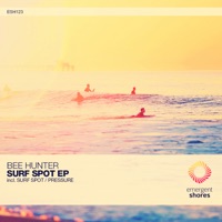 Pressure / Surf Spot - Single - Bee Hunter