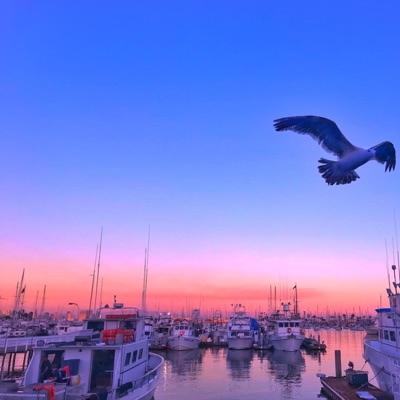 Falling (Instrumental Dub) [Dub] - Single