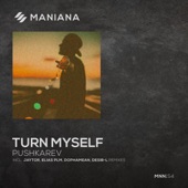 Turn Myself (Desib-L Remix) artwork